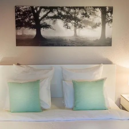 Charming Mezzanine In The Heart Of Gr45 Apartamento Morges